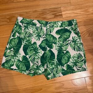 White House Black Market Green and White Shorts size 10
